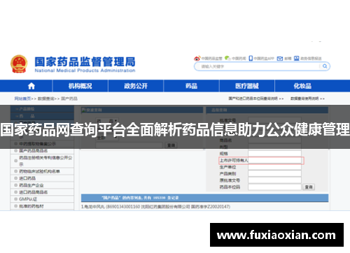 国家药品网查询平台全面解析药品信息助力公众健康管理