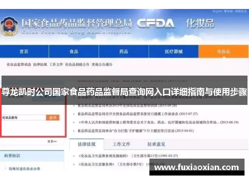 尊龙凯时公司国家食品药品监督局查询网入口详细指南与使用步骤